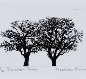 Barton Trees