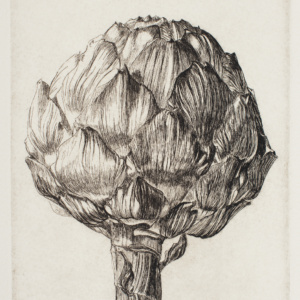 Catherine Rickman, Artichoke