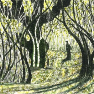 Paul Ellis, Autumn Coppice. Drypoint and wash