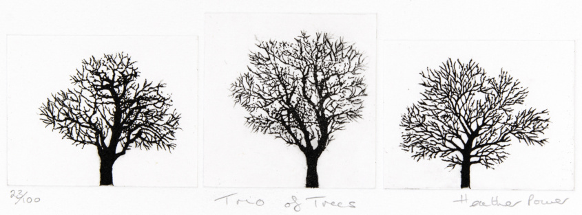 Heather Power - Trio of Trees