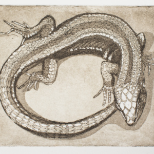Catherine Rickman, Lizard