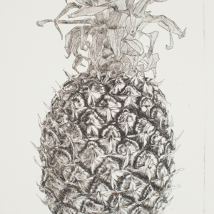 Catherine Rickman, Pineapple