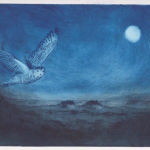 Jess Burnett Stuart, Wittenham Owl