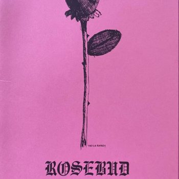 Sheila Barry, 'Rose'